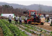 Danh sách tuyển chọn lao động thời vụ đợt 2 quận Gochang-gun, Hàn Quốc năm 2026