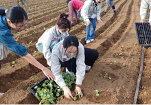 Thông báo Tuyển chọn lao động thời vụ đợt 1 năm 2026, đi làm việc tại tỉnh Jeju Hàn Quốc